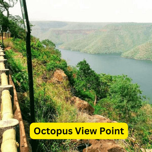 octopus view point in srisailam