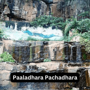 paaladhara pachadhara in srisailam