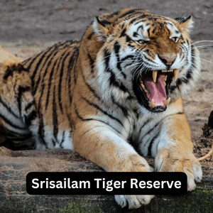 srisailam tiger reserve